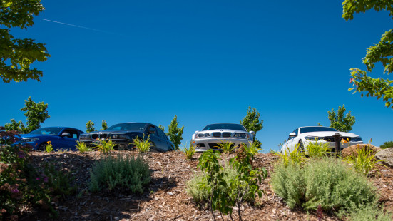 48135934748_bba7f8af56_b